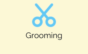 Grooming services and equipment